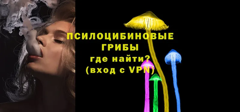 наркота  Данилов  Галлюциногенные грибы Psilocybe 